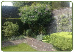 garden maintenance in Bracknell